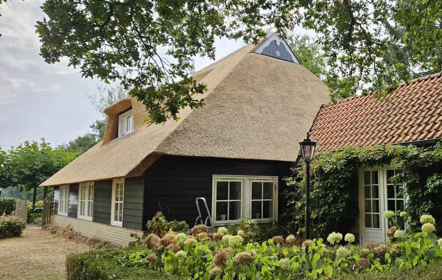 Afgewerkte rieten villa