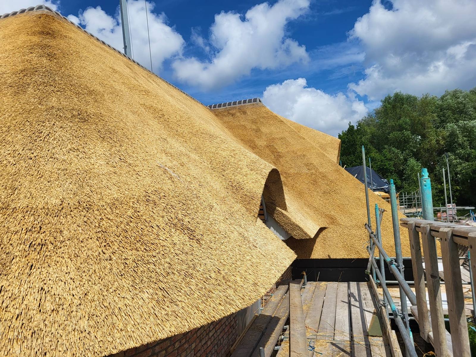 Select Reed opslag — eersteklas dakriet, voorraden in China en Nederland