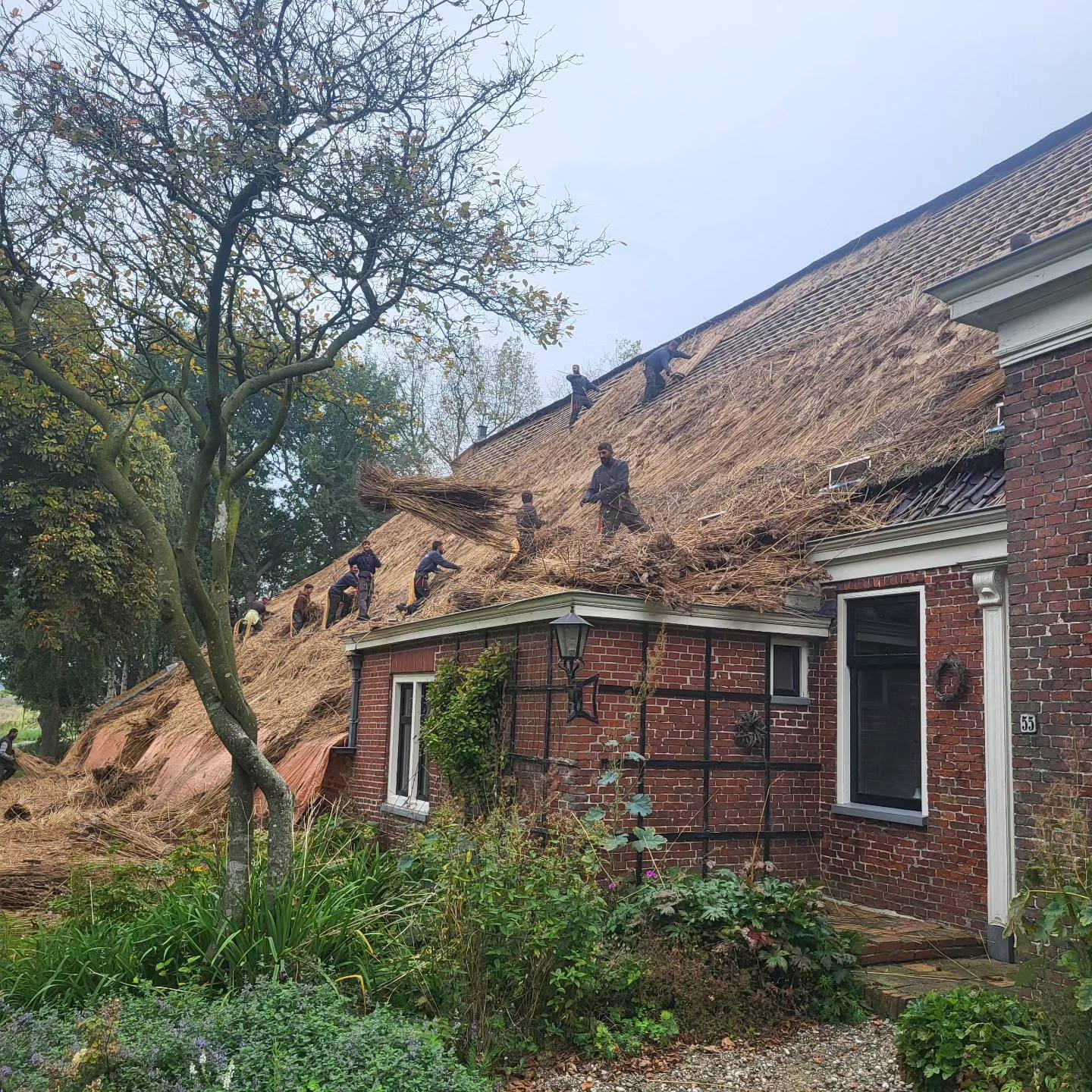 Rieten dak verwijderen — sloop in uitvoering
